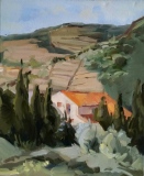 Dans les vignes - Au sud de la France